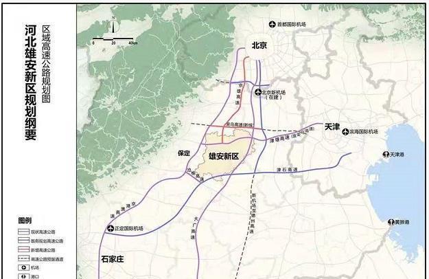 金乡今日蒜苔价格最新行情-今日金乡蒜苔市价速览