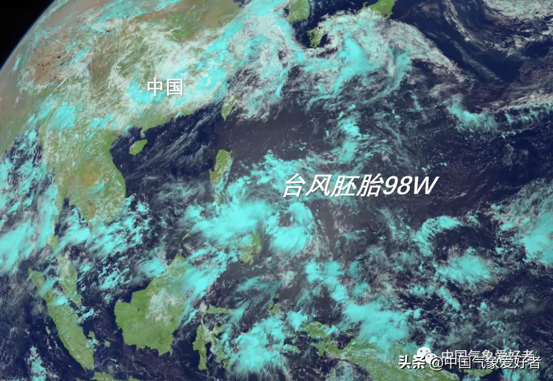 鹦鹉台风最新动态，共筑平安防线，风雨同行！